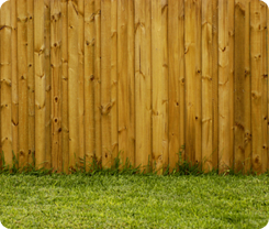Fence and Grass - Fence Installation Houston TX